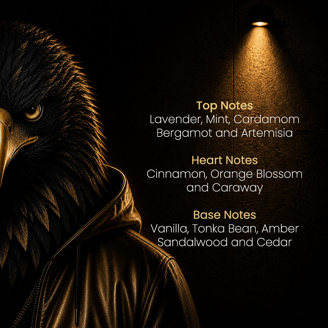 Embark on a journey of freedom with Vierro Bravery